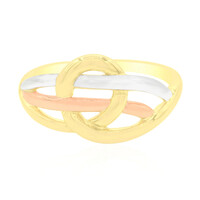 Silberring