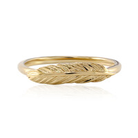 Silberring