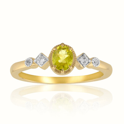 Kansas-Pallavin-Goldring