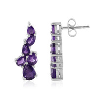 Sambia-Amethyst-Silberohrringe