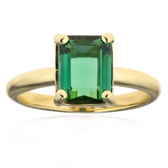 Golconda-Turmalin-Goldring (CUSTODANA)