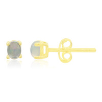 Welo-Opal-Silberohrringe