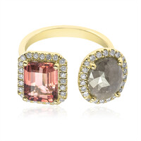 Edelstein-Goldring (CIRARI)