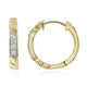 SI1 (G) Brillant-Goldohrringe (Annette)