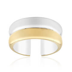 Silberring