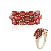 Tansania-Rubin-Goldring