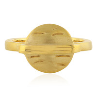 Silberring