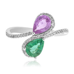 Edelstein-Goldring (CIRARI)