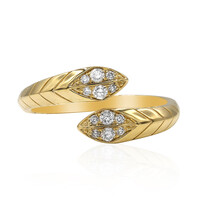 I1 (H) Brillant-Goldring (CIRARI)