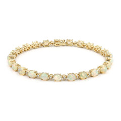 Welo-Opal-Goldarmband