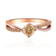 VS1 Argyle-Rose de France-Brillant-Goldring (Annette)