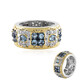 Tansania-Aquamarin-Silberring (Gems en Vogue)