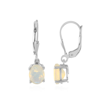 Welo-Opal-Silberohrringe