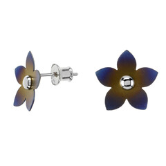 Titanohrringe
