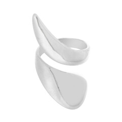 Silberring