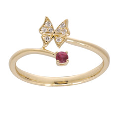AAA-Mosambik-Rubin-Goldring (CIRARI)