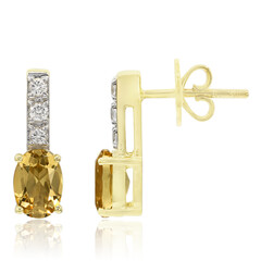 Goldener Xia-Beryll-Goldohrringe
