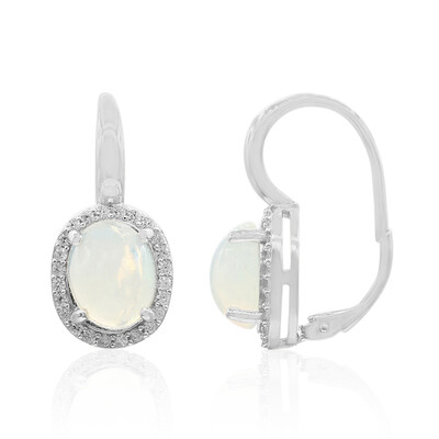 Welo-Opal-Silberohrringe