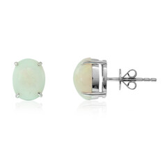 AAA-Welo-Opal-Platinohrringe