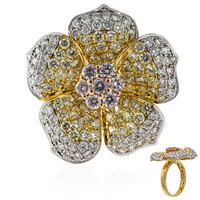 Brillant-Goldring (CIRARI)