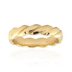 Silberring