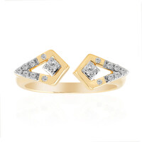 VVS1 (G) Brillant-Goldring