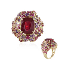 Ruby Garden (D'vyere)