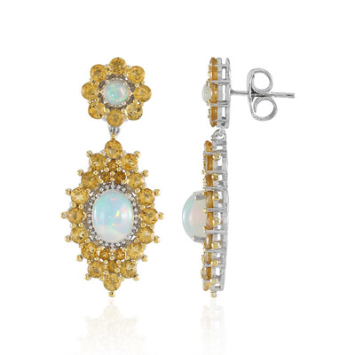 Welo-Opal-Silberohrringe (Dallas Prince Designs)