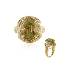 Oregon-Sonnenstein-Goldring (AMAYANI)