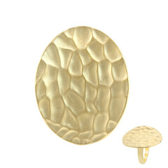 Silberring