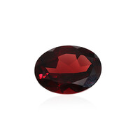 Mosambik-Granat 14,393 ct