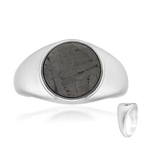 Aletai-Meteorit-Silberring