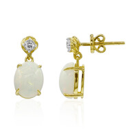 AAA-Welo-Opal-Goldohrringe (Adela Gold)