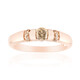 VS1 Argyle-Rose de France-Brillant-Goldring (Annette)