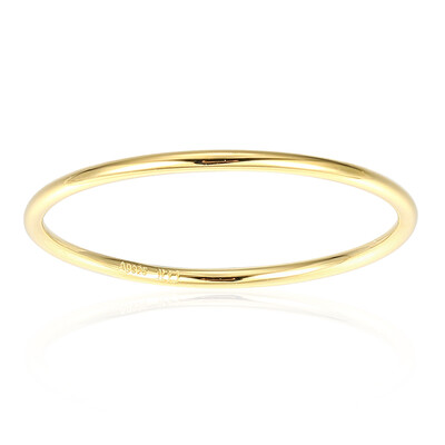 Silberring