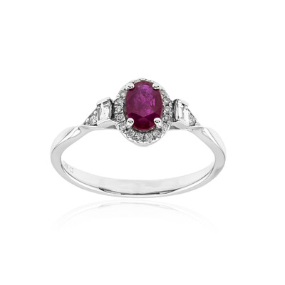AAA-Mosambik-Rubin-Goldring (CIRARI)