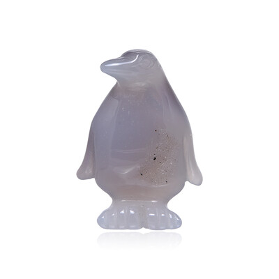 Achat-Pinguin