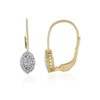 I2 (I) Diamant-Silberohrringe