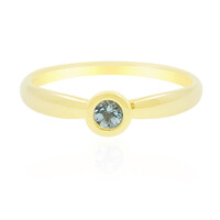 Nigerianischer Paraiba-Turmalin-Goldring