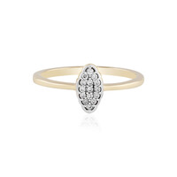 SI1 (H) Brillant-Goldring