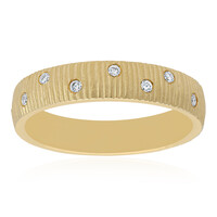 SI2 (H) Brillant-Goldring