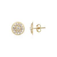 I2 (I) Diamant-Silberohrringe
