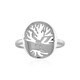 I4 (J) Diamant-Silberring