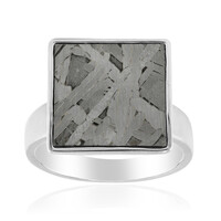 Aletai-Meteorit-Silberring