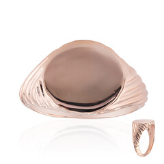 Silberring