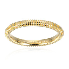 Silberring