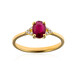 AAA-Mosambik-Rubin-Goldring (CIRARI)