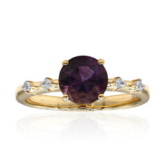 Arizona-Amethyst-Goldring (Amanda Adkins)