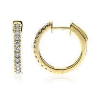 I1 (H) Brillant-Goldohrringe (CIRARI)