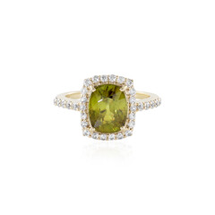 Sphen-Goldring